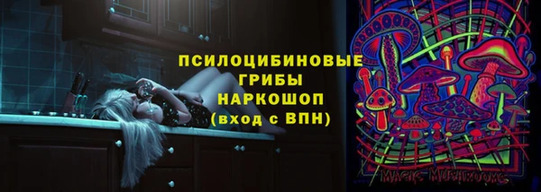 прущая мука Инта