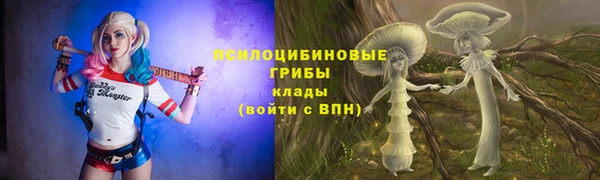прущие грибы Иннополис