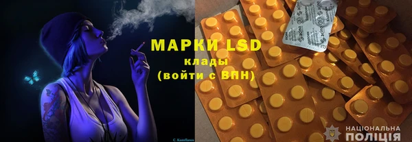 прущие грибы Иннополис