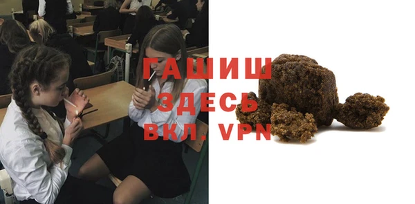 прущие грибы Иннополис
