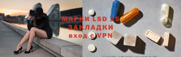 прущие грибы Иннополис