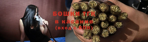 прущая мука Инта