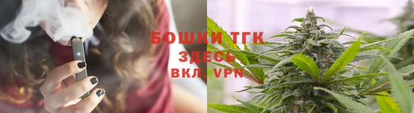прущая мука Инта