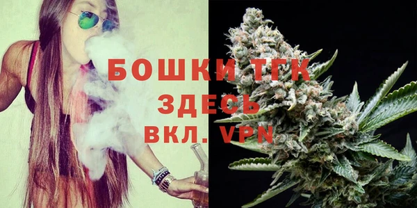 прущие грибы Иннополис