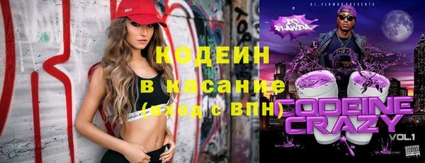 прущие грибы Иннополис
