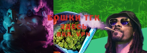 прущая мука Инта